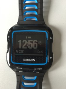Garmin_Home_Standard