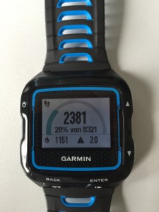 Garmin_Home_Standard_2